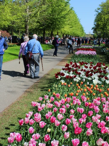 drukte Keukenhof ouderen