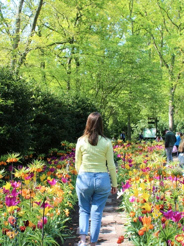 tulpen paden Anouk