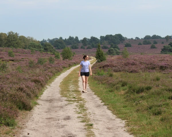 lichtgewicht wandelschoenen dames