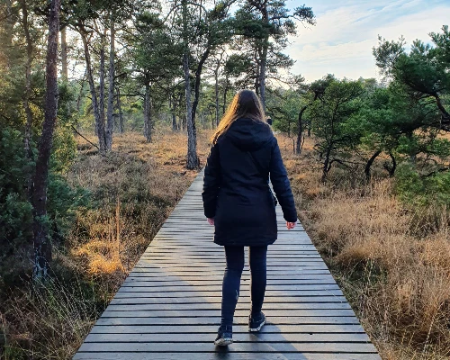 activiteiten Overijssel vakantie