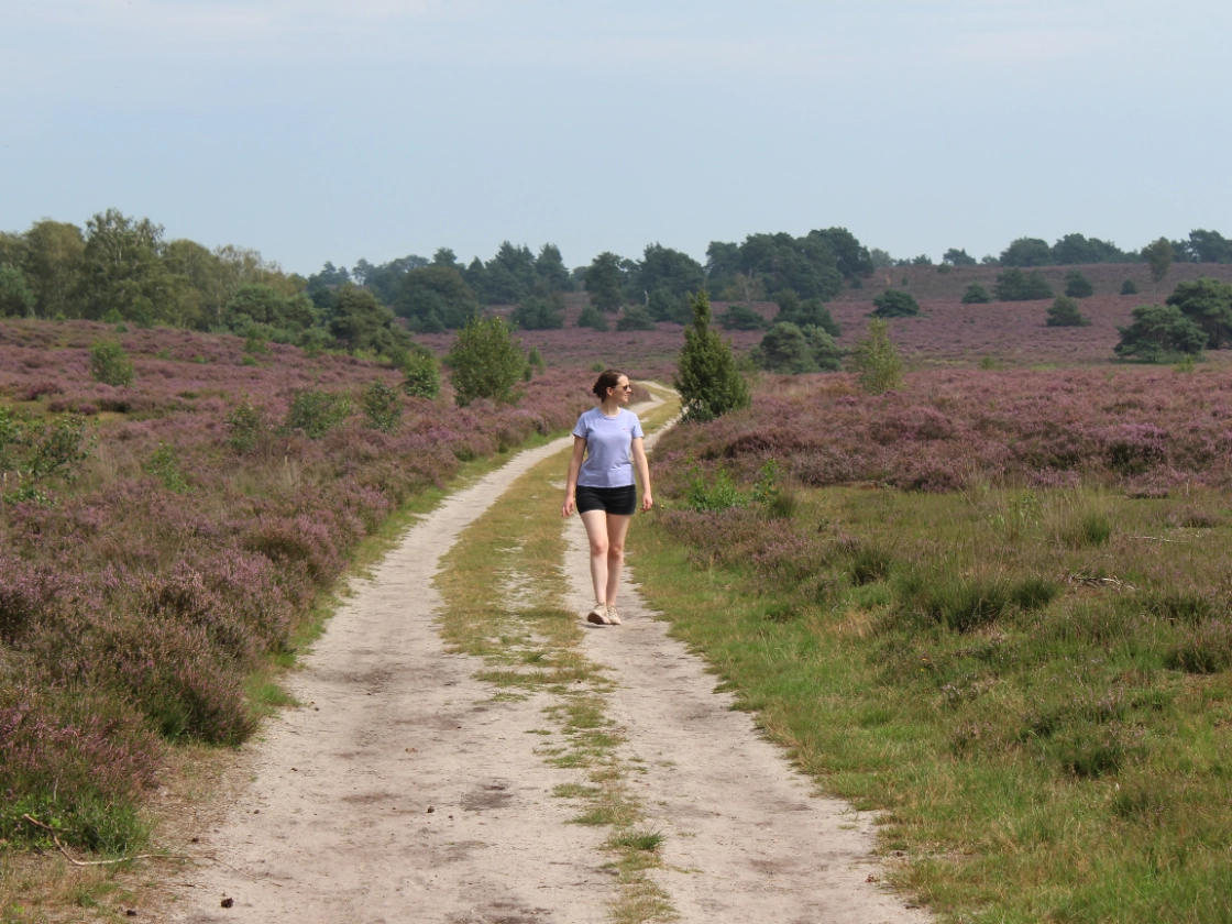 wandelen Sallandse Heuvelrug Overijssel